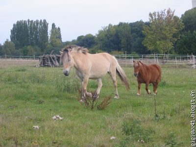 Kalîne est la grande et Marianne est la plus petite